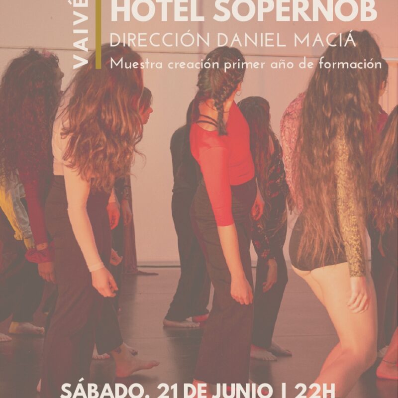 muestra formación profesional acrobacias aéreas