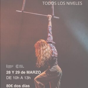 intensivo aro aéreo y trapecio