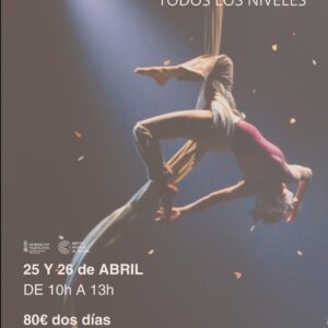 intensivo telas aéreas Valencia