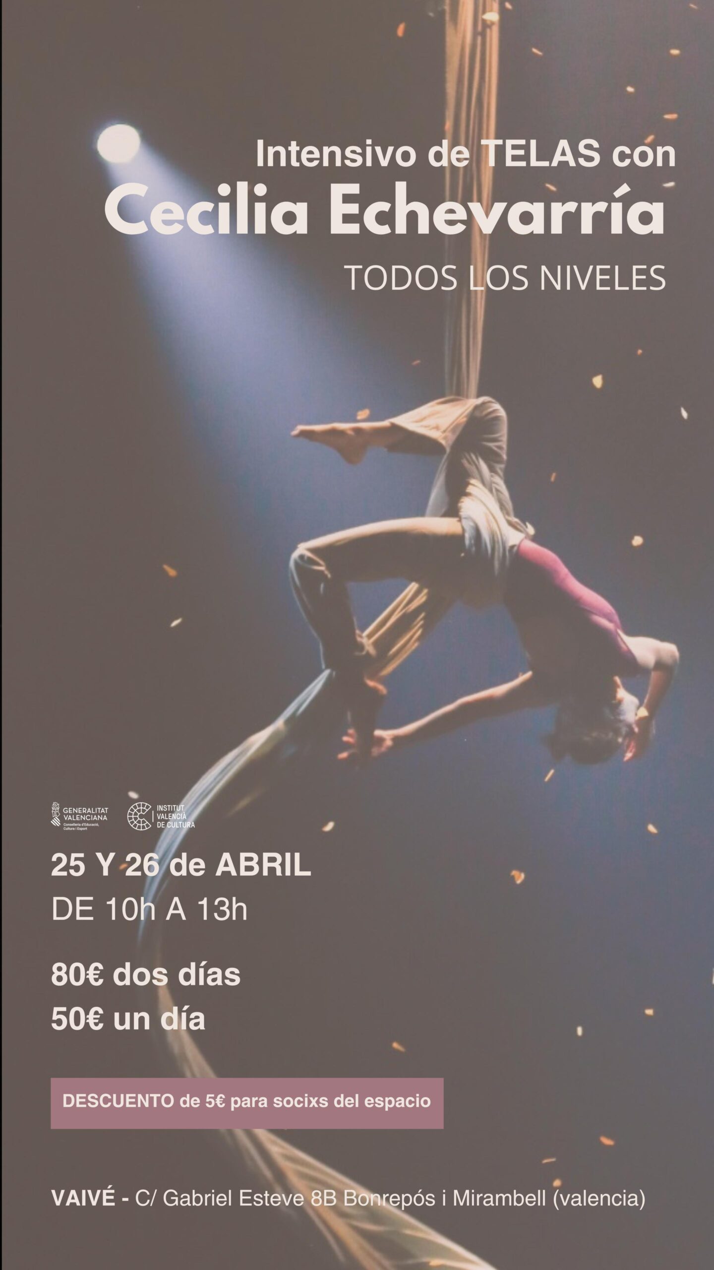 CECILIA intensivo telas aéreas Valencia