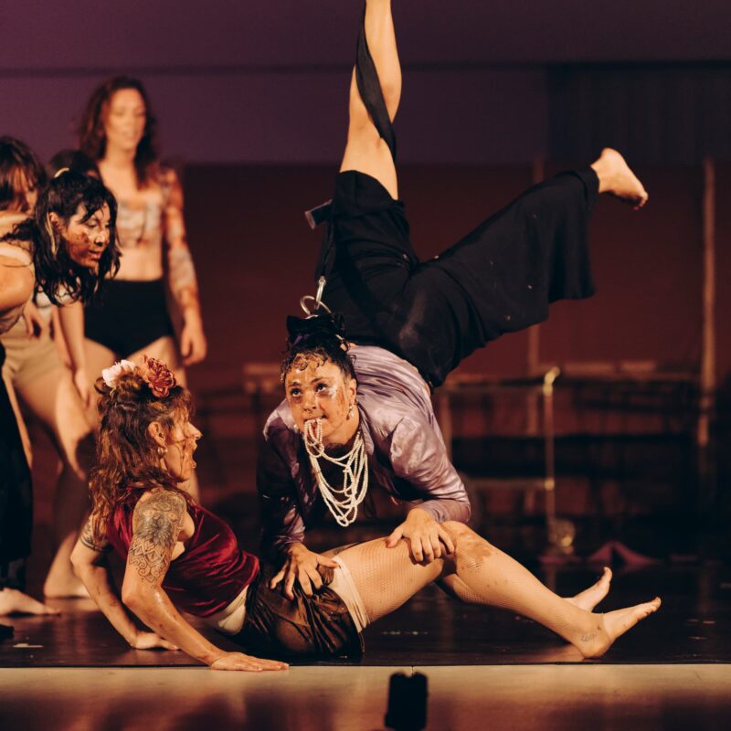 formación profesional de Circo